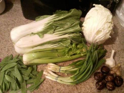 Veggie Lovers Pack - Asian Themed