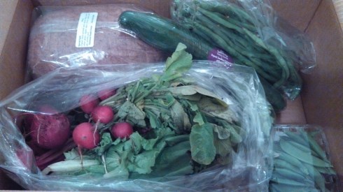 Sunizona Family Farms FarmBox 3/27/2013